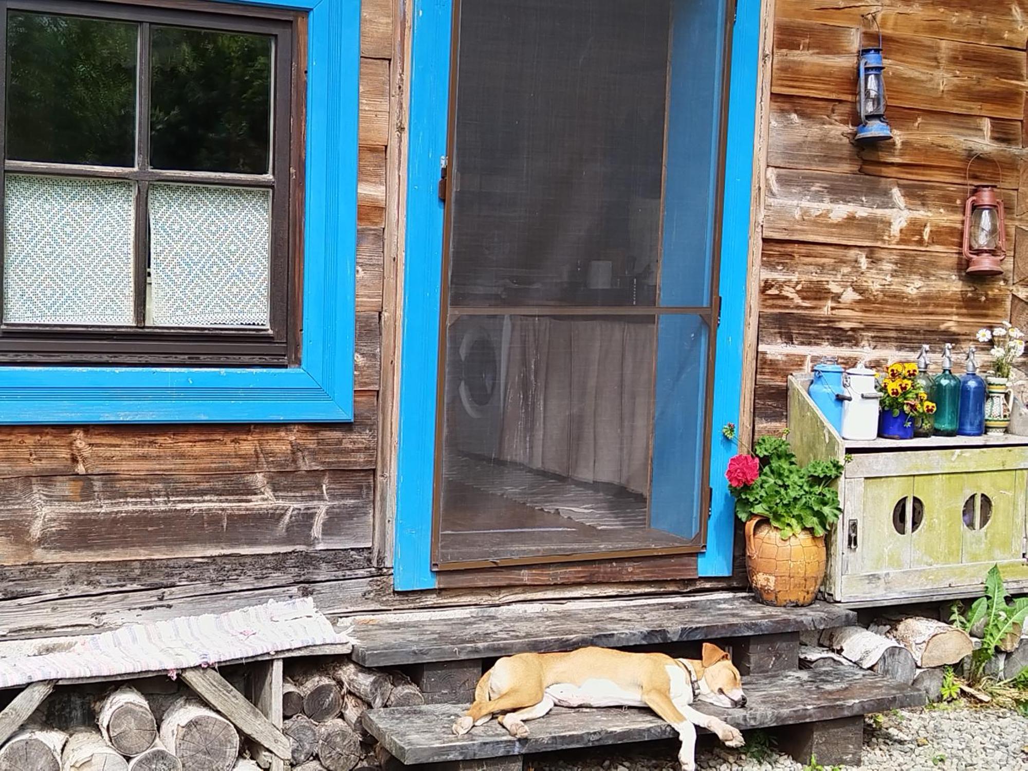Big Family Apartment In Breb'S Cosy Barn 외부 사진